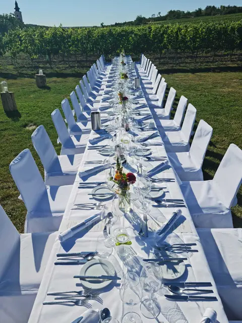An einer festlich weiß gedeckten Tafel mitten in der Natur genießen die Gäste von Juni bis August ein exklusives 5-Gänge-Menü mit passender Weinbegleitung. | Foto: Markus Kahrer