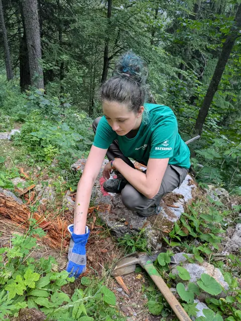  Baumstumpfentfernung an einer engen Stelle | Foto:  Meusburger