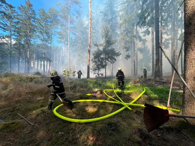 Dichter Rauch steigt aus dem Waldgebiet zwischen Riegersburg und Fronsburg auf – zahlreiche Feuerwehren stehen im Großeinsatz. | Foto: Feuerwehren