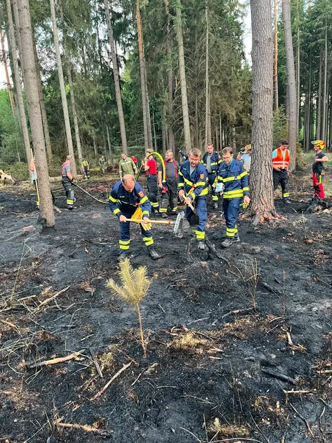 Die auf Waldbrände spezialisierten Feuerwehrmitglieder aus Alberndorf unterstützen die örtlichen Einsatzkräfte. | Foto: Feuerwehren