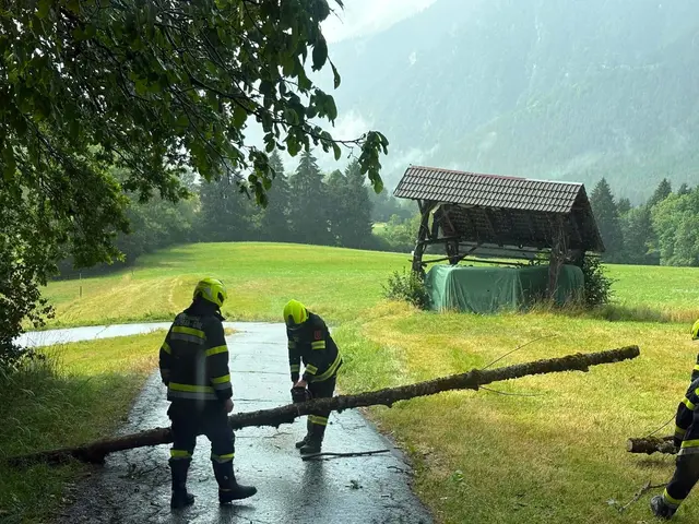 Foto: Feuerwehr St.Stefan/Gail