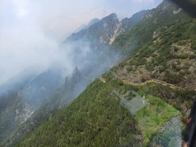 Foto: Feuerwehr Wildermieming