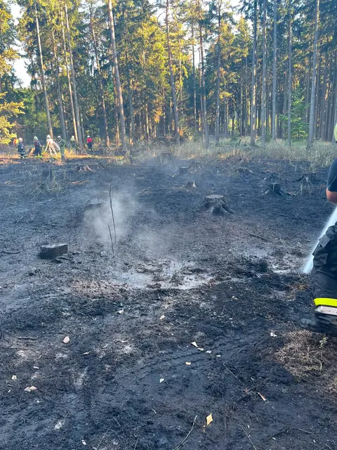 Mit Wärmebildkameras werden Glutnester im betroffenen Waldgebiet aufgespürt und gezielt abgelöscht. | Foto: Feuerwehren