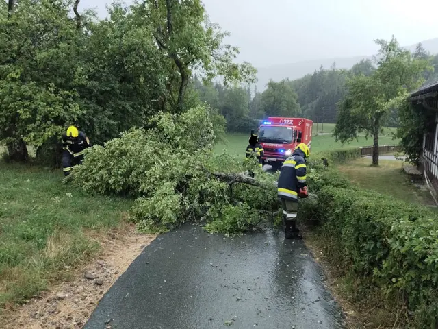 Foto: Feuerwehr St.Stefan/Gail