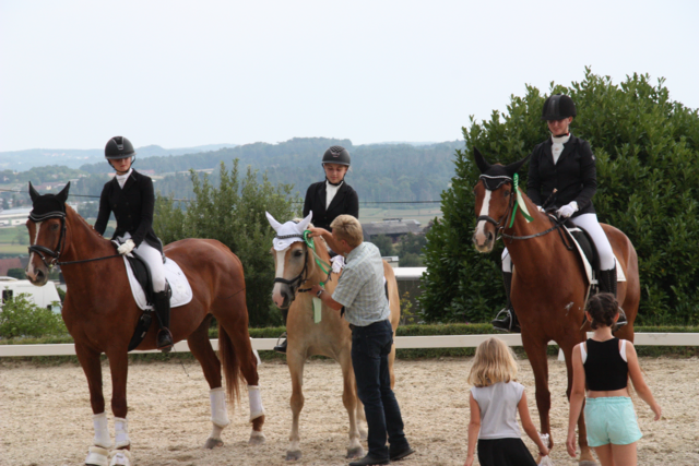 Foto: Hartberger Reitverein "RC Dressage Group Styria"
