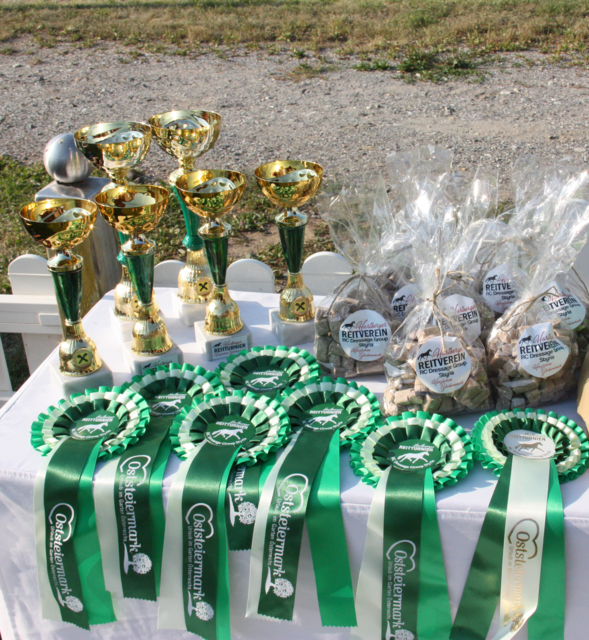 Foto: Hartberger Reitverein "RC Dressage Group Styria"
