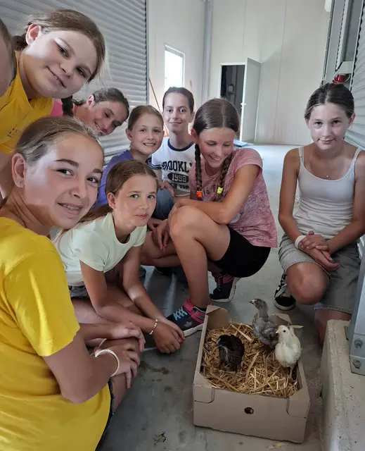 Im Mittelpunkt stand das Huhn, ein Tier, das die Kinder zwar kennen, aber selten so nah erleben.  | Foto: Sport/Mittelschule St. Valentin