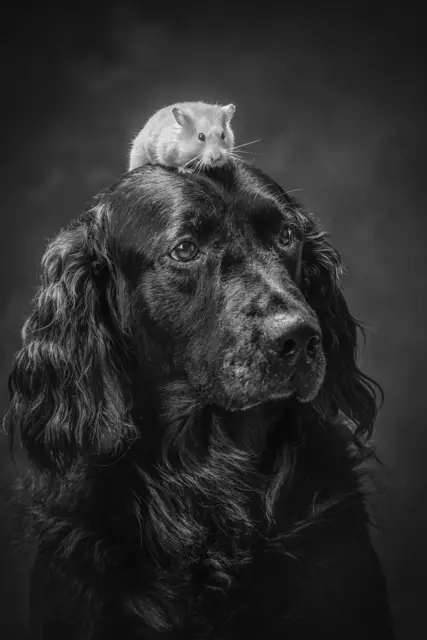 Foto: Ramona Steiner