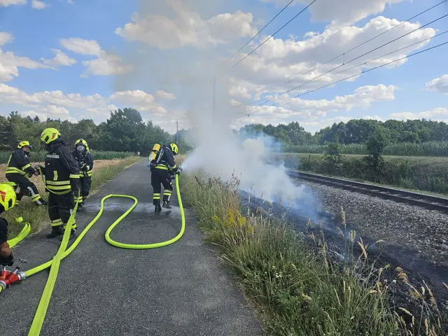 Ein Brand am Bahndamm forderte am Montag den schnellen Einsatz der Feuerwehren. | Foto: Feuerwehr Sigmundsherberg