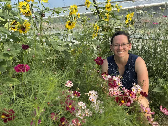 Ursula Pölzl in ihrem Folientunnel in Wippelsach - hier gedeihen derzeit farbenprächtige Sommerblumen aller Art für jeden Anlass. | Foto: MeinBezirk/Waltraud Fischer