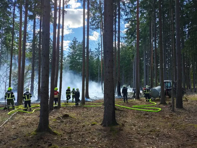Die Einsatzkräfte kämpfen unter schwierigen Bedingungen gegen den Waldbrand im Bereich des Forsthauses. | Foto: Feuerwehren