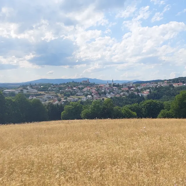 ...erster Blick auf das Tagesziel: Burg Bernstein