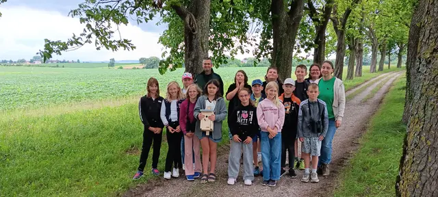 Gemeinsam mit dem Naturschutzbund bauten die Wimsbacher Schüler Nistkästen. | Foto: Julia Kropfberger