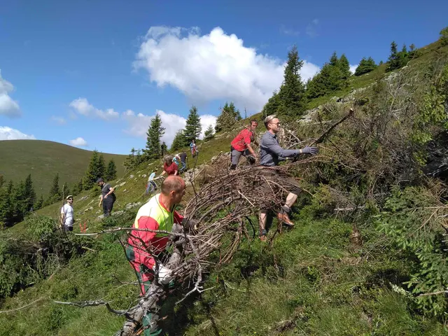 Am kommenden Samstag wird auf den heimischen Almen wieder geschwendet. | Foto: LK Steiermark