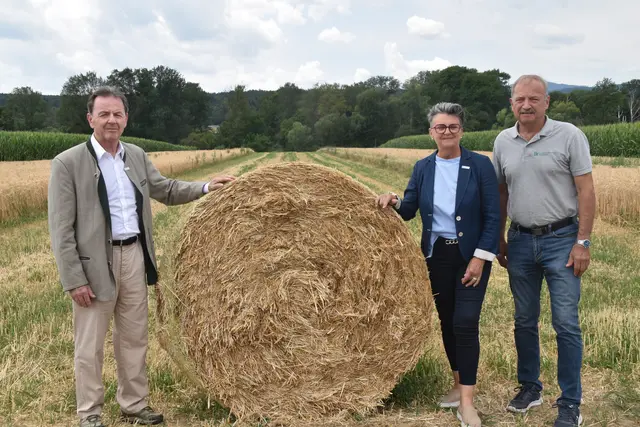 Foto: MeinBezirk/Michael Strini