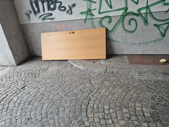 In der Bezirksvertretungssitzung im Frühling wurde ein gemeinsamer Antrag aller im Bezirksparlament vertretenen Fraktionen zur möglichen Errichtung von Sperrmüll-Sammelstellen einstimmig angenommen. (Symbolbild) | Foto: z.V.g.
