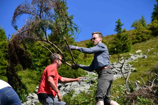 Hunderte Freiwillige halfen in den vergangenen Jahren beim Almschwendttag, die Almen vor Verwilderung zu schützen.  | Foto: LK Steiermark