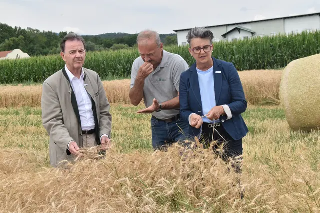 Foto: MeinBezirk/Michael Strini