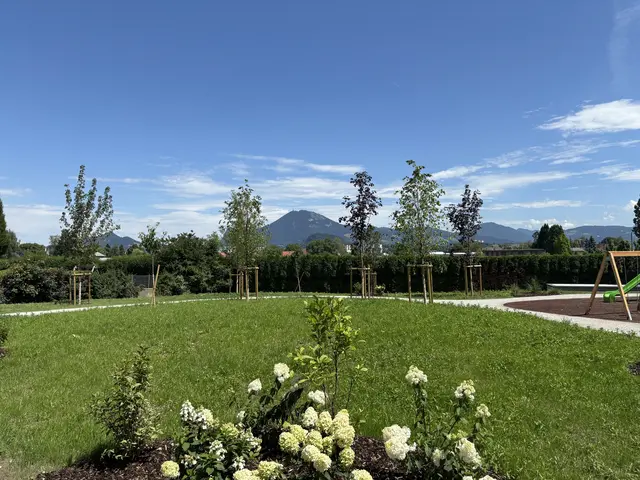 Der begrünte Außenbereich der Wohnanlage mit Ausblick und Kinderspielplatz. | Foto: MeinBezirk Salzburg