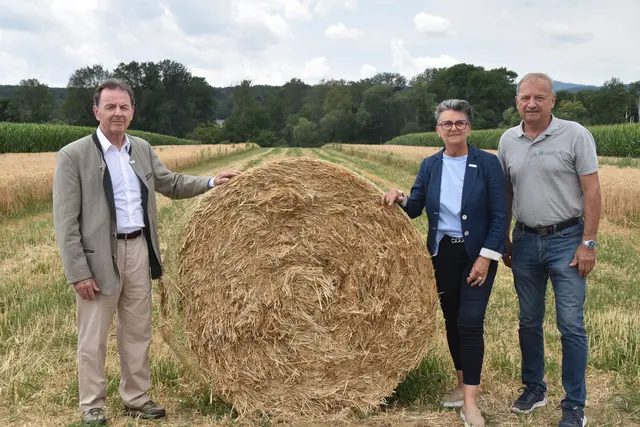 Foto: MeinBezirk/Michael Strini