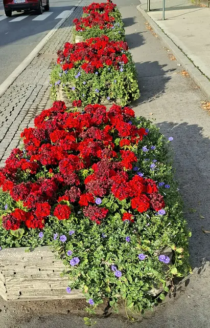 Foto: Kurt Nöhmer 