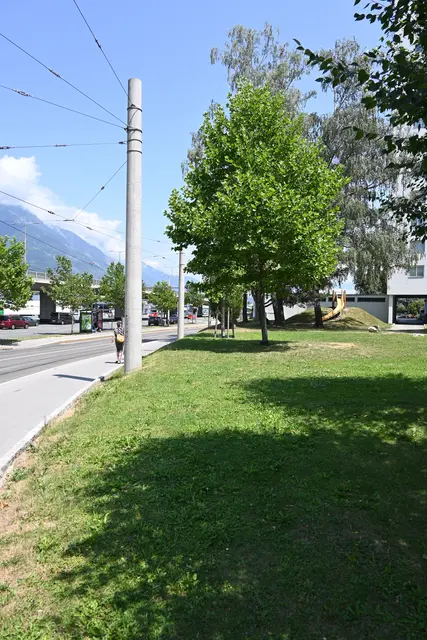 Es gibt keinen Zaun oder keine Hecke, die das Wohngebiet und damit auch die potenzielle Spielwiese abgrenzt, die IIG sieht dies anders. | Foto: Königer