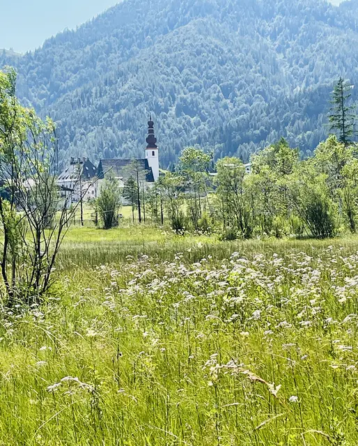 Foto: Klaus Kogler