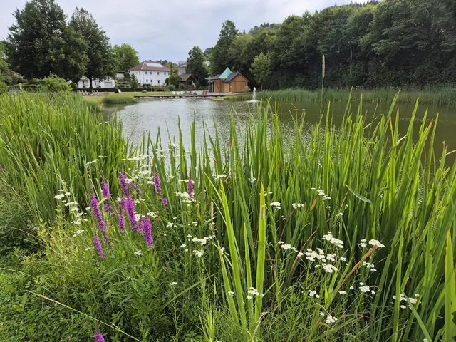 Foto: Gemeinde Bad Zell