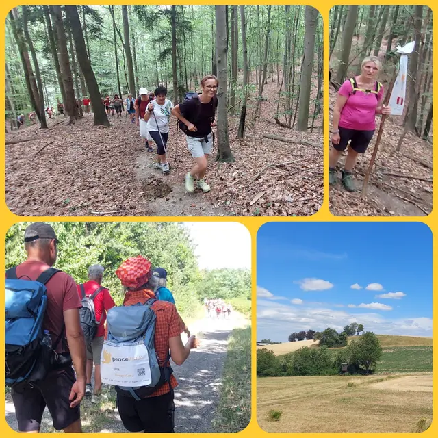 Auf schattigen Waldwegen im Gebiet " Naturpark Landseer Berge", auf dem sogenannten "Judensteig" bergab Richtung Kobersdorf