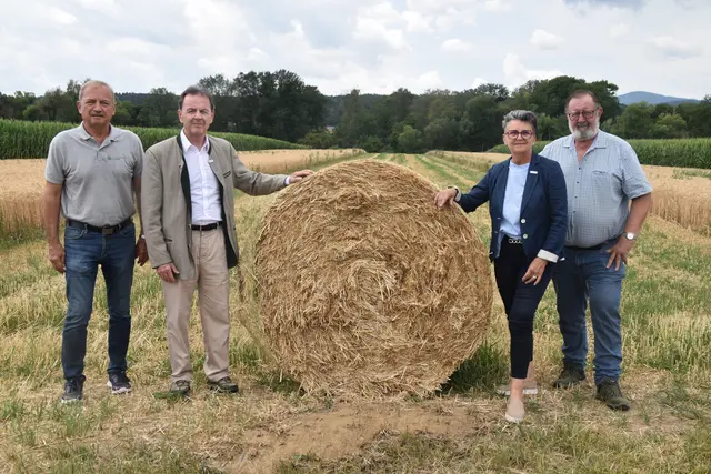 Gute Qualität, aber geringe Ernte und niedrige Preis - das ist das Resümee für das Jahr 2026 aus jetziger Sicht: Werner Falb-Meixner, Nikolaus Berlakovich, Maria Portschy und Josef Stubits | Foto: MeinBezirk/Michael Strini