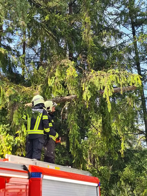 Foto: Freiwillige Feuerwehr Latschach