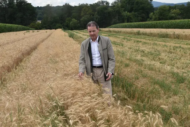 Nikolaus Berlakovich sieht die Trockenheit als großes Problem für die Landwirtschaft. | Foto: MeinBezirk/Michael Strini