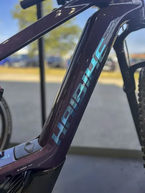 Bei E-Bike Lehr erwartet Kunden eine große Auswahl an modernen E-Bikes für unterschiedlichste Ansprüche. | Foto: E-Bike Lehr