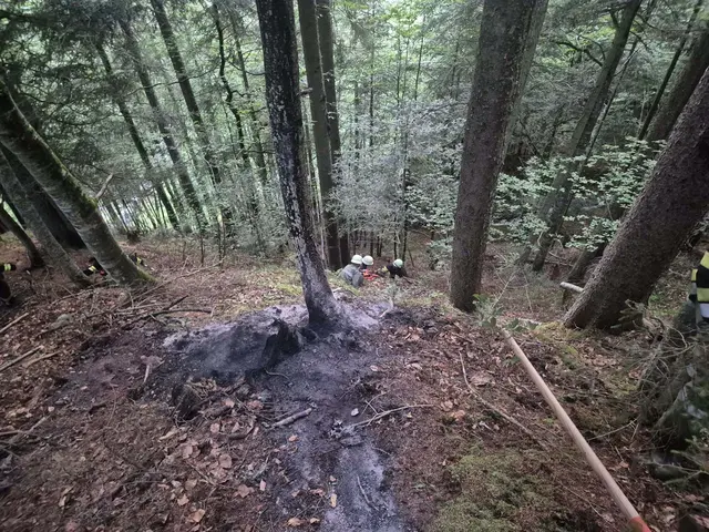 Dieser Baum soll vom Blitz getroffen worden sein. | Foto: FF St. Jakob im Lesachtal
