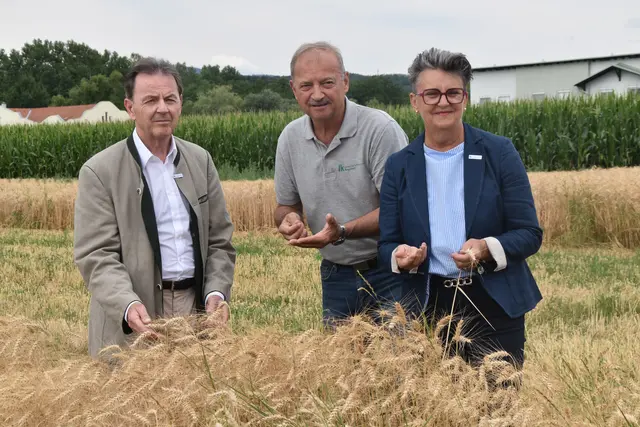 Landwirtschaftskammer-Präsident Nikolaus Berlakovich, Vizepräsident Werner Falb-Meixner und Maria Portschy in einem Getreidefeld in Neustift an der Lafnitz | Foto: MeinBezirk/Michael Strini