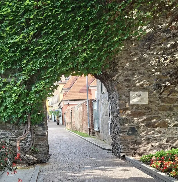 Foto: Kurt Nöhmer 