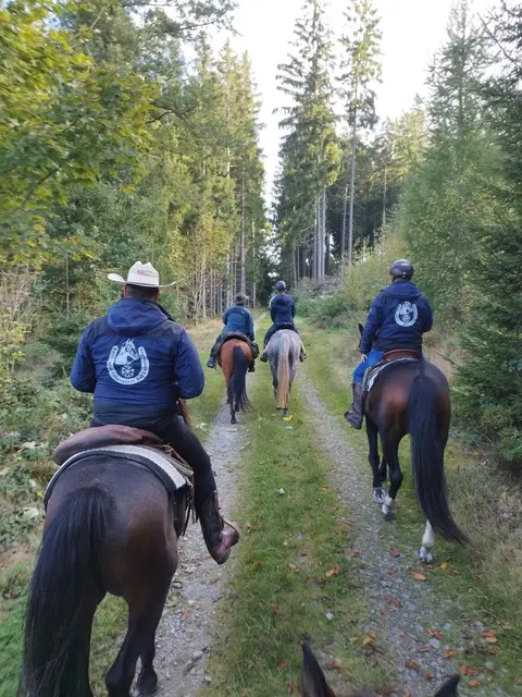 Rund 500 Kilometer Reitwege sind in Urfahr-Umgebung und Rohrbach markiert. | Foto: Horner