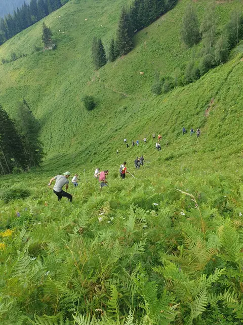 Das sogenannte Schwenden erfolgt meist händisch, da Maschinen auf steilen oder schwer zugänglichen Flächen kaum einsetzbar sind.  | Foto: LK Steiermark
