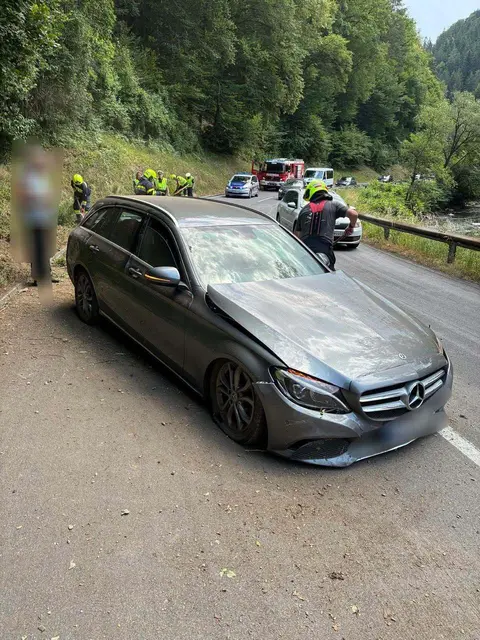 Ein Fahrzeug kam in den Kremser Reihen von der Straße ab und touchierte ein Verkehrsschild. | Foto: FF Krems