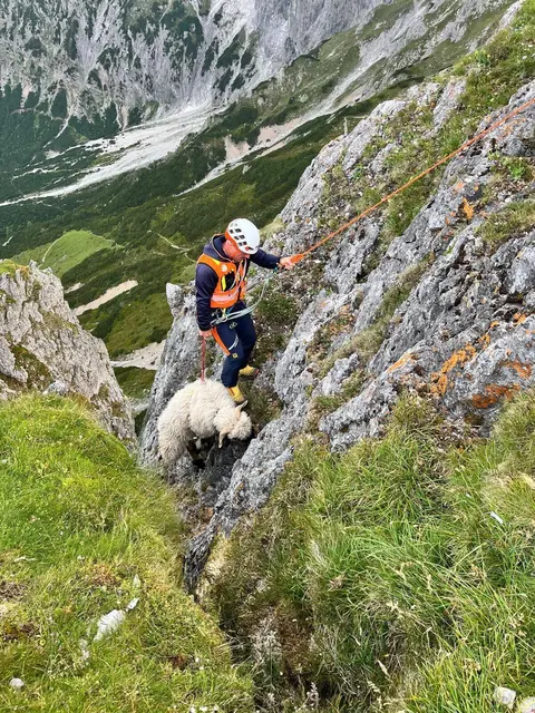 Am 16. Juli 2026 retteten Bergretterinnen und Bergretter in Dienten ein Schaf aus einer misslichen Lage.
 | Foto: Bergrettung Dienten