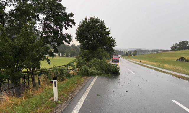 Foto: FF Hirschbach im Mühlkreis