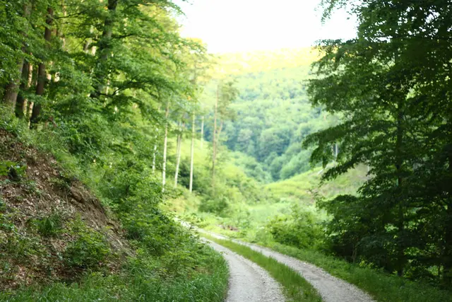 Foto: Stadtgemeinde Klosterneuburg