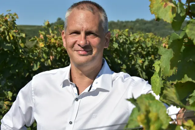 Foto: Weingut Hufnagel