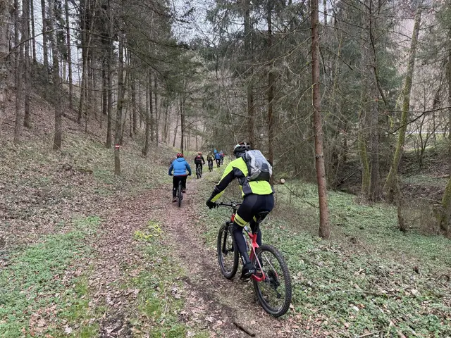 Unterwegs auf der neuen MTB-Strecke. | Foto: Marktgemeinde Schwertberg/Facebook