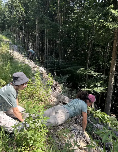 28 Säcke voller Springkraut wurden bereits gesammelt. | Foto: Paula Bosbach