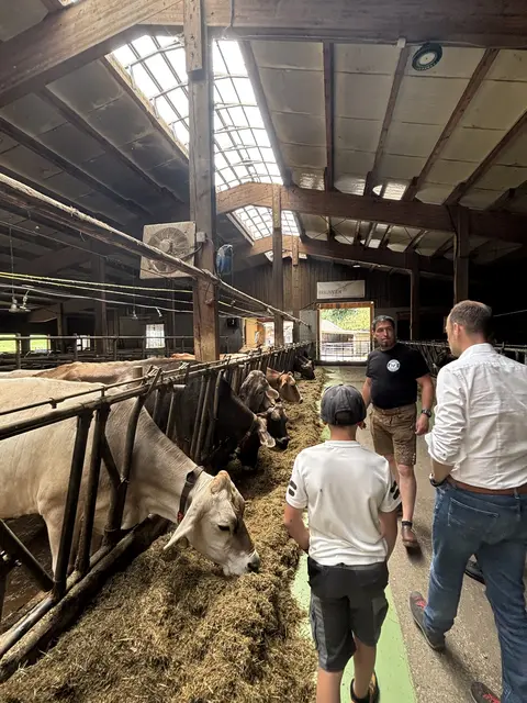 Betriebsführer Josef Mangweth führte durch den Stall und zeigte, wie moderne Technik die tägliche Arbeit am Hof unterstützt.
 | Foto: Forgo