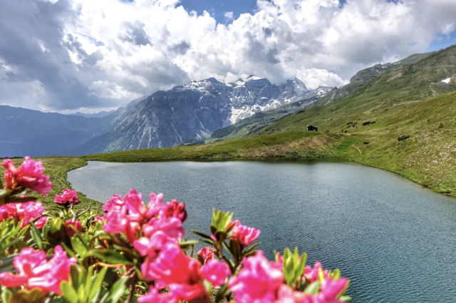 Der Lichtsee ist in eine Almlandschaft eingebettet. Von hier kann man nach Obernberg absteigen. ©W. Kräutler
