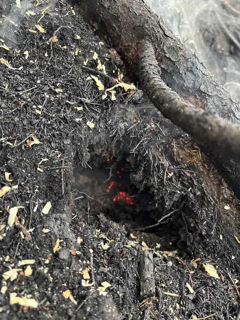 Glutnester werden im Laufe des Tages gezielt bekämpft. | Foto: Feuerwehr Wildermieming