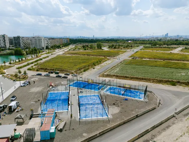 Das Zwischennutzungskonzept der nördlichen Seestadtbaustelle hat vier Padel-Tennisfelder erhalten. | Foto: Panda Padel