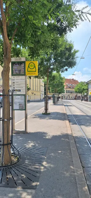 Viele Haltestellen müsse man ausbauen, einerseits um Barrierefreiheit zu schaffen, andererseits um den Betrieb der neuen Straßenbahnen zu gewährleisten. | Foto: Fahrgast